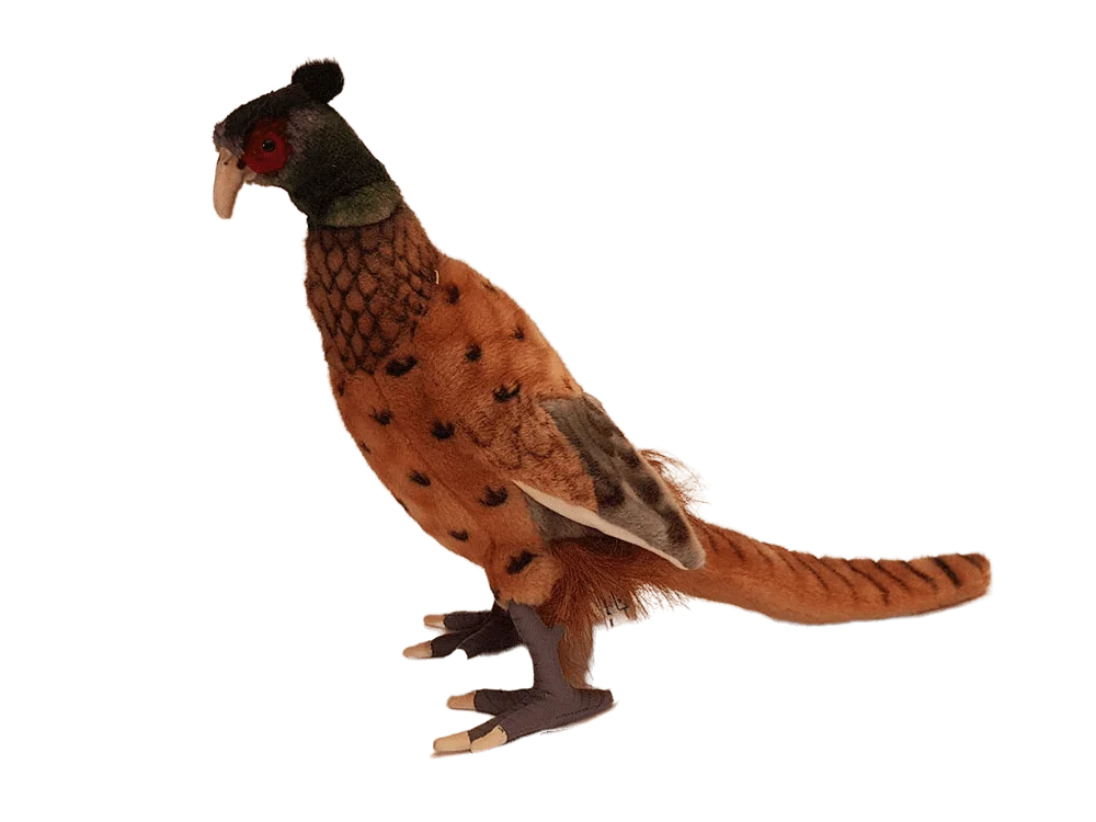 Pheasant 40 cm