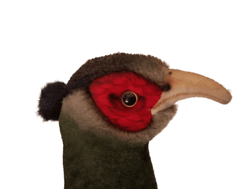 Pheasant 40 cm - Billede 9